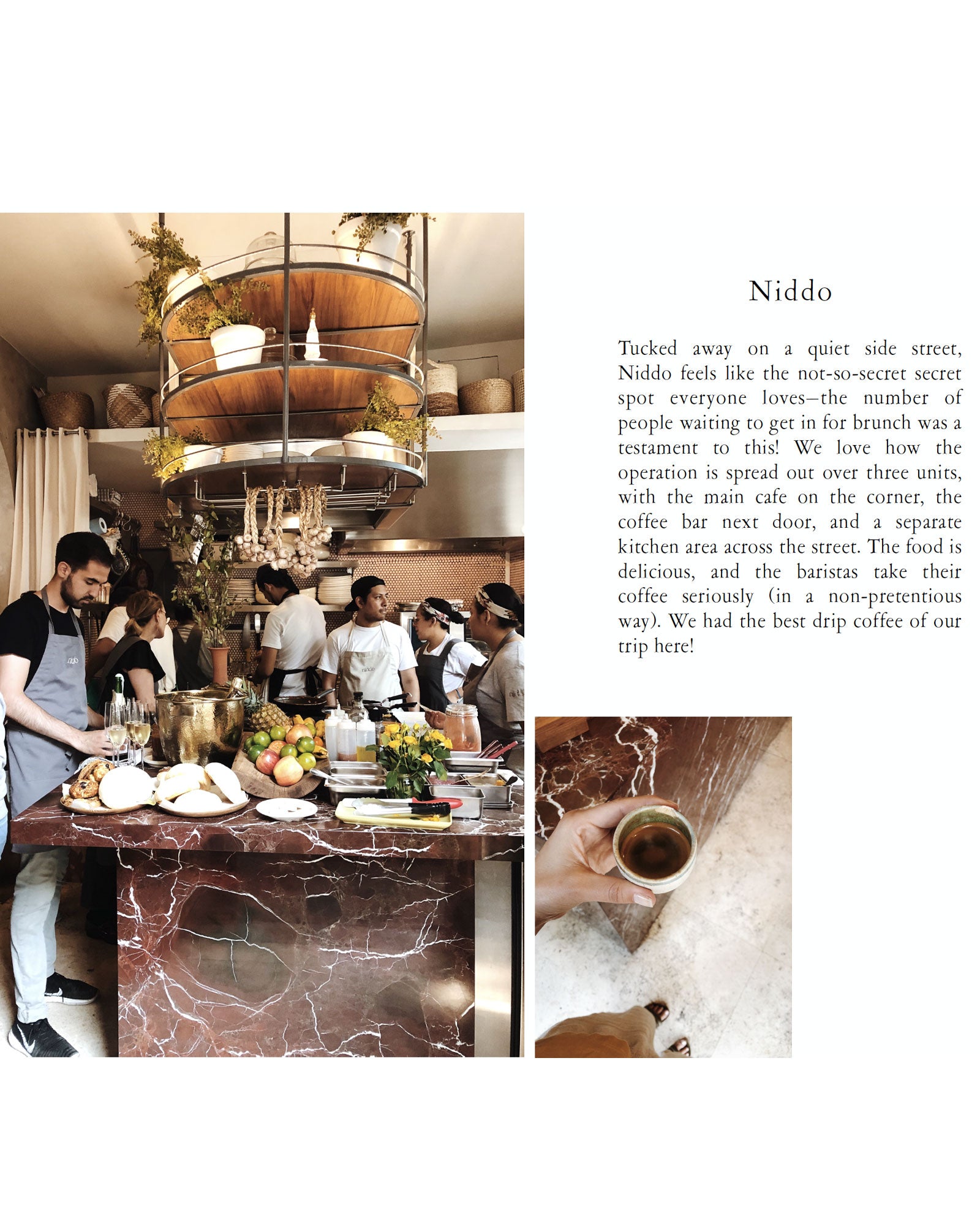 Mexico City Coffee guide by Canyon Coffee